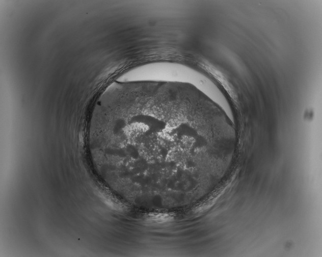 X0000099290161200805090939
