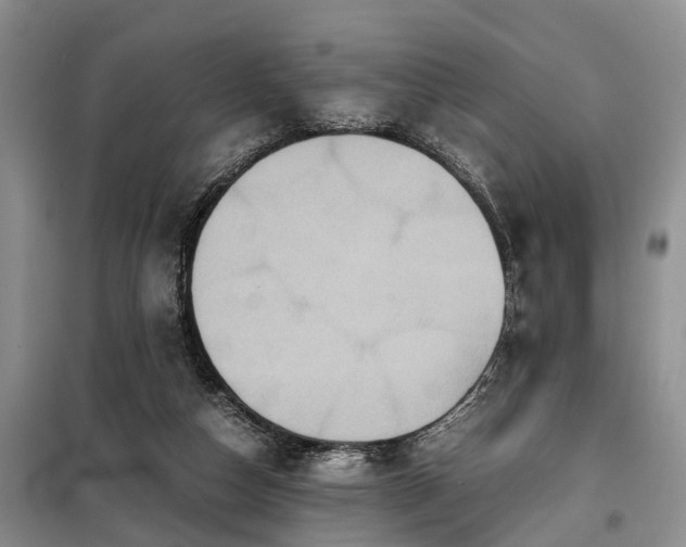 X0000099290162200805090939