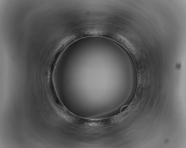 X0000099290163200805090939
