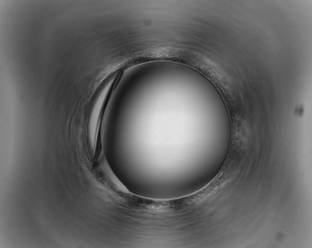 X0000099290164200805090939