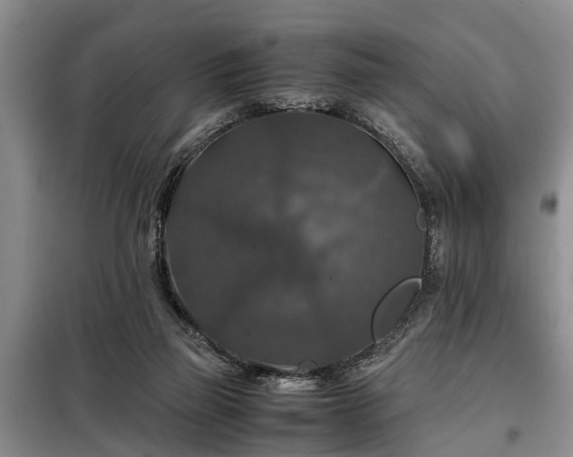 X0000099290165200805090939
