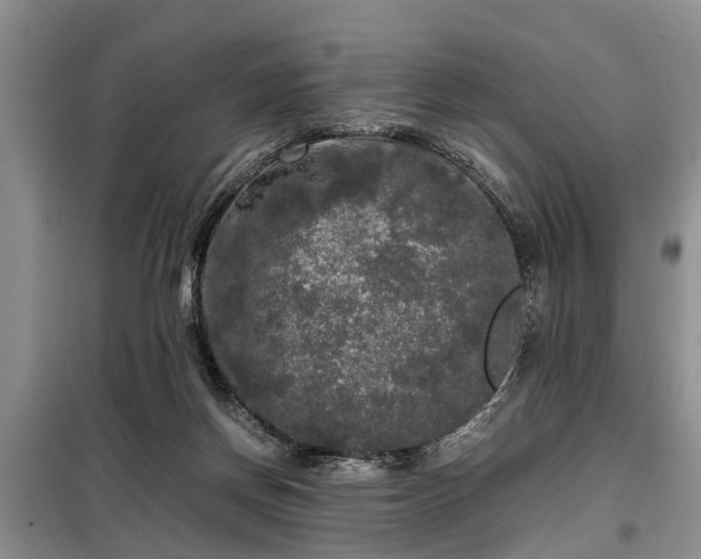X0000099290166200805090939