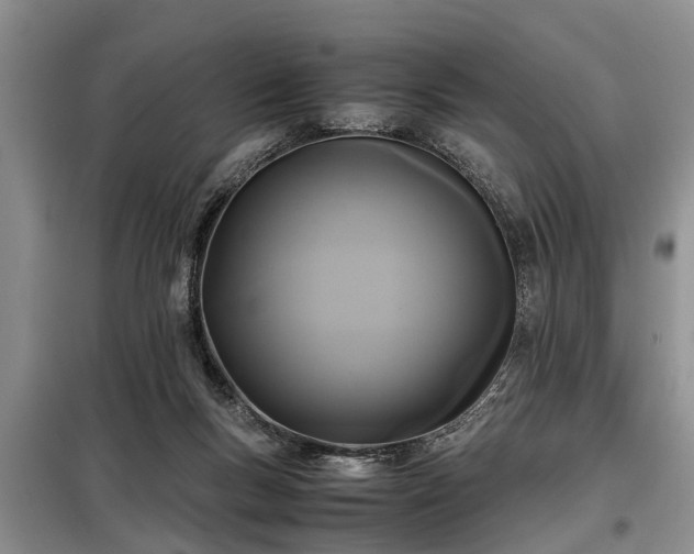 X0000099290167200805090939
