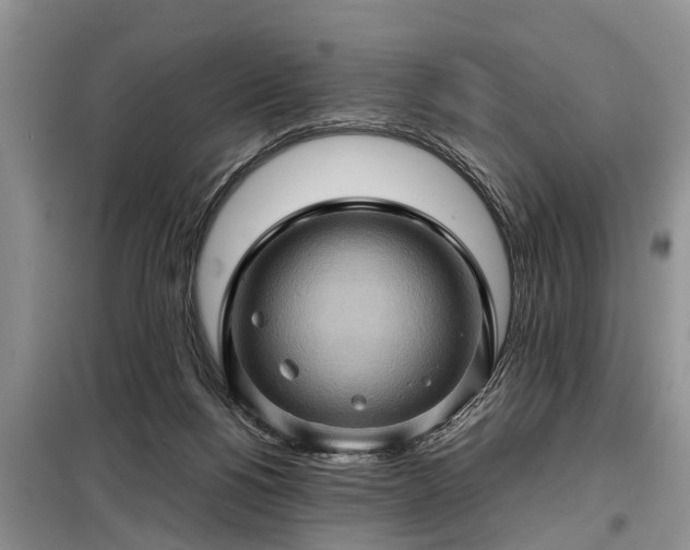 X0000099290168200805090939