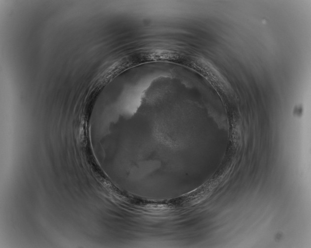 X0000099290169200805090939