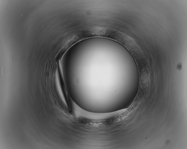 X0000099290172200805090939