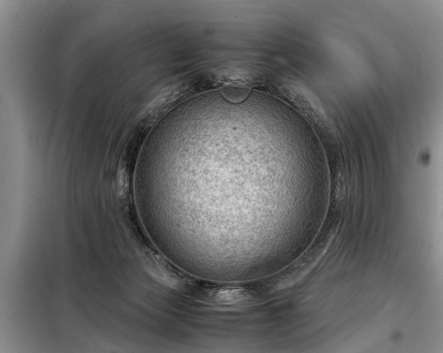 X0000099290173200805090939