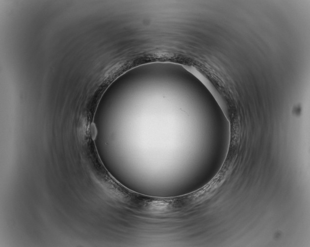 X0000099290176200805090939