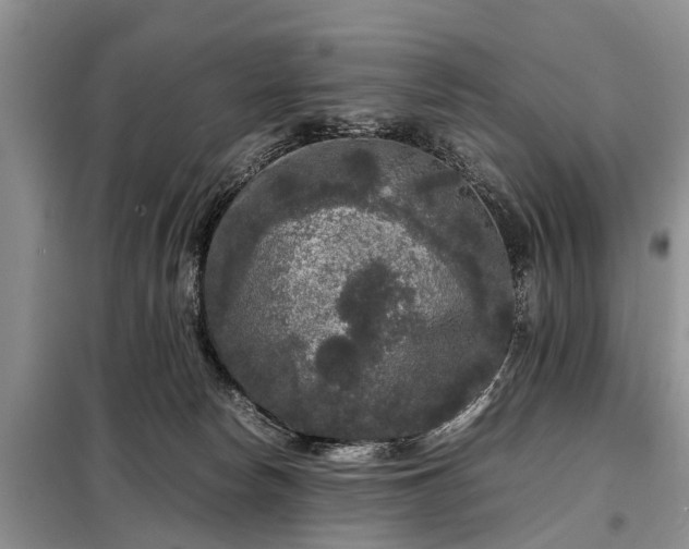 X0000099290178200805090939