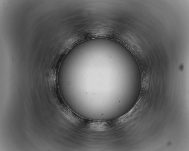 X0000099290179200805090939