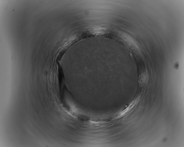 X0000099290180200805090939