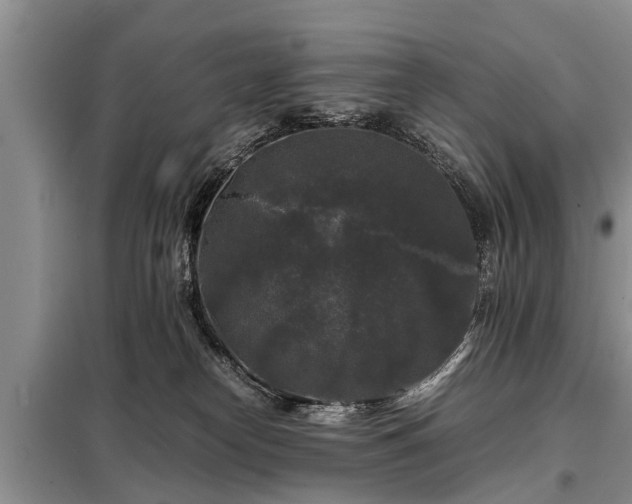 X0000099290182200805090939