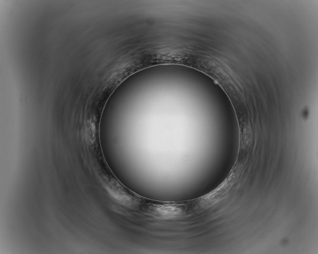 X0000099290183200805090939