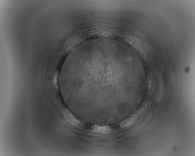 X0000099290185200805090939