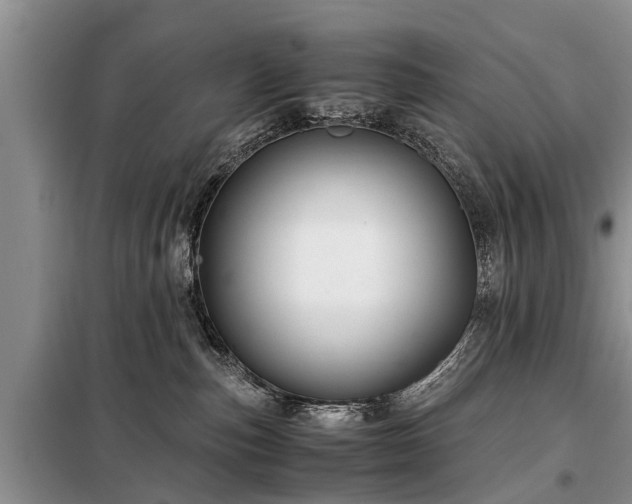 X0000099290187200805090939