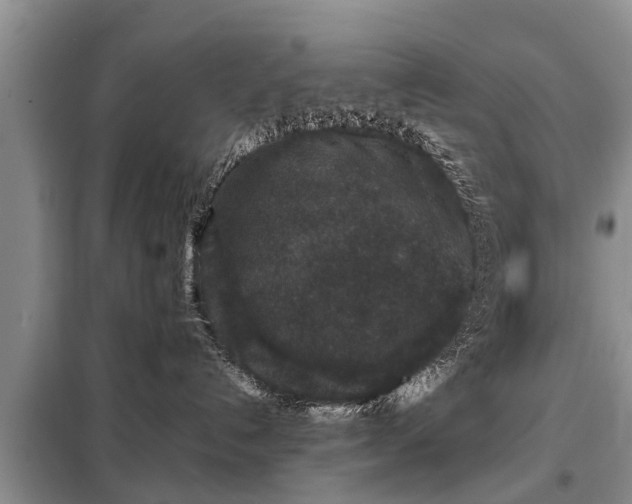 X0000099290192200805090939