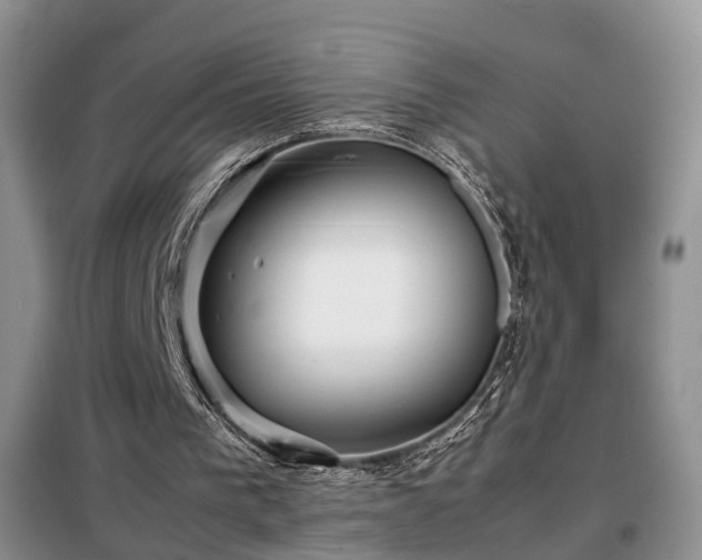 X0000099290193200805090939