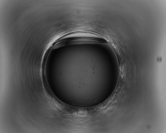 X0000099290196200805090939