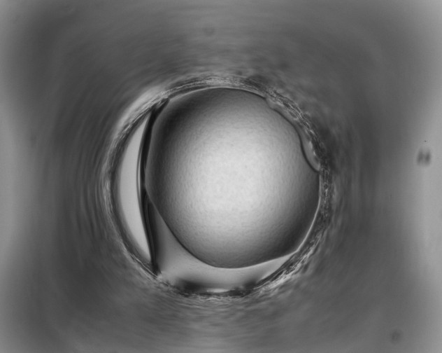 X0000099290197200805090939