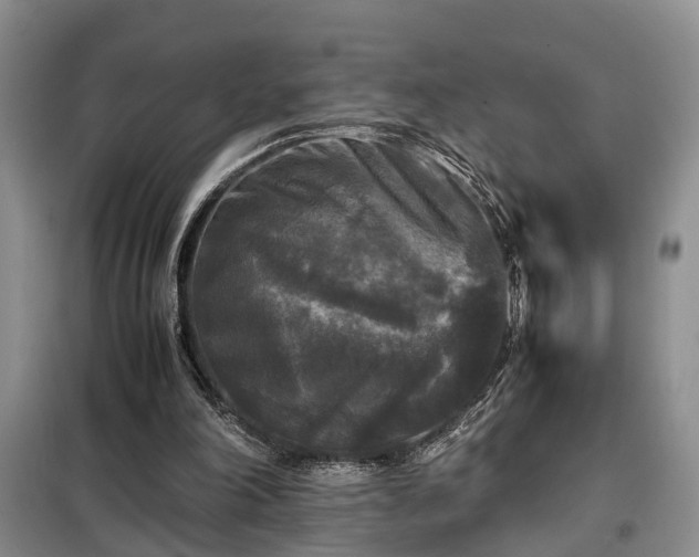 X0000099290198200805090939