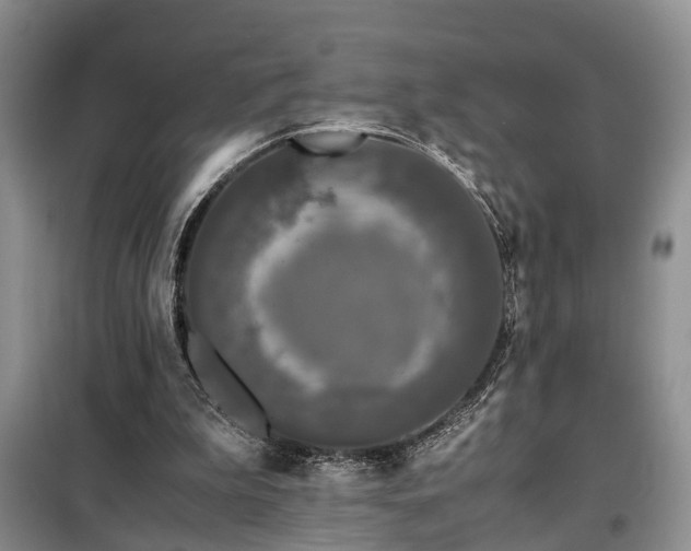 X0000099290199200805090939