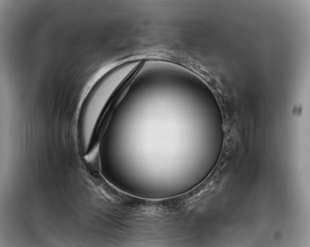 X0000099290200200805090939