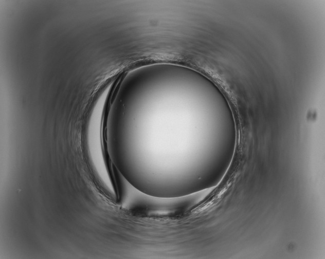 X0000099290201200805090938