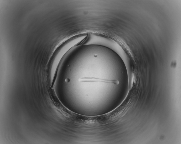 X0000099290204200805090938