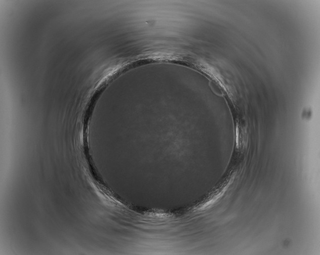 X0000099290205200805090938