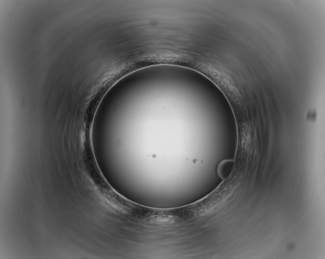 X0000099290206200805090938