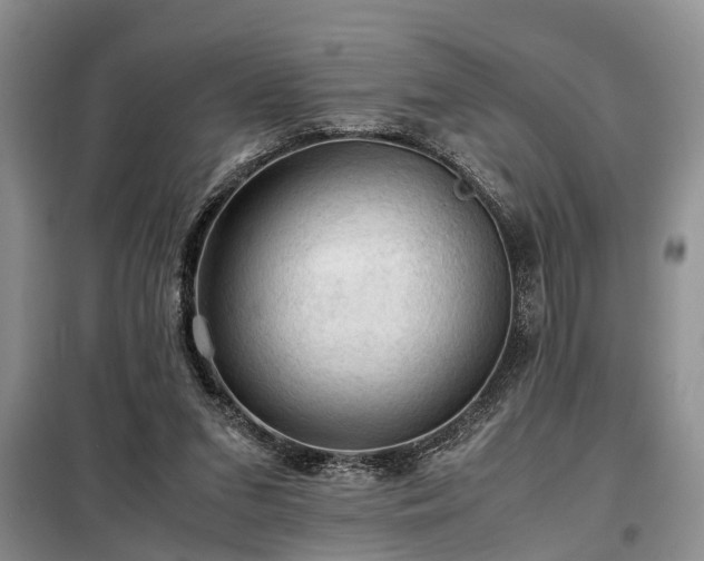 X0000099290207200805090938