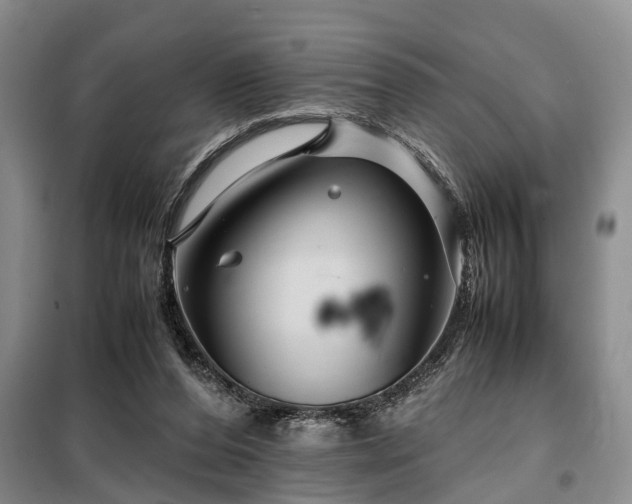 X0000099290208200805090938