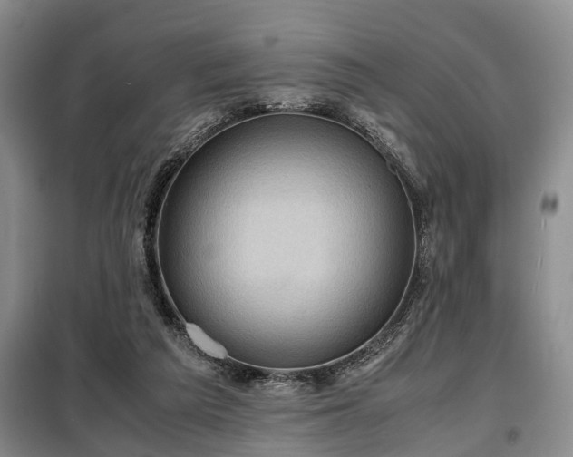 X0000099290209200805090938