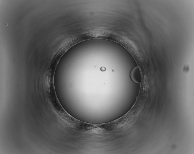 X0000099290210200805090938