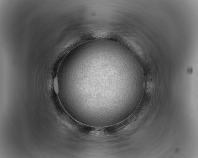 X0000099290211200805090938