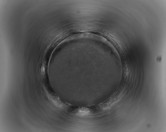 X0000099290214200805090938