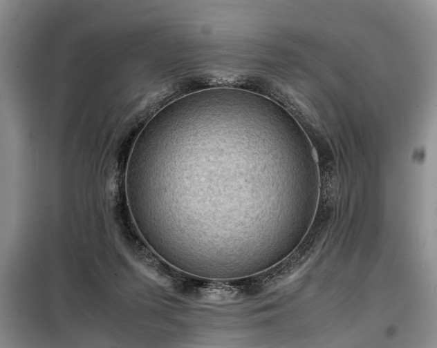 X0000099290215200805090938