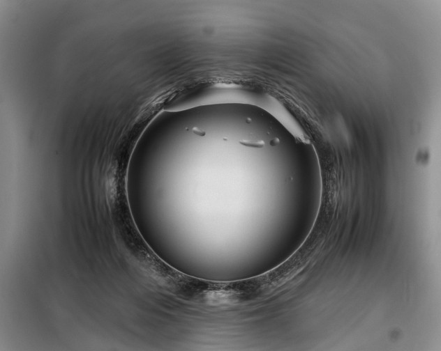 X0000099290216200805090938