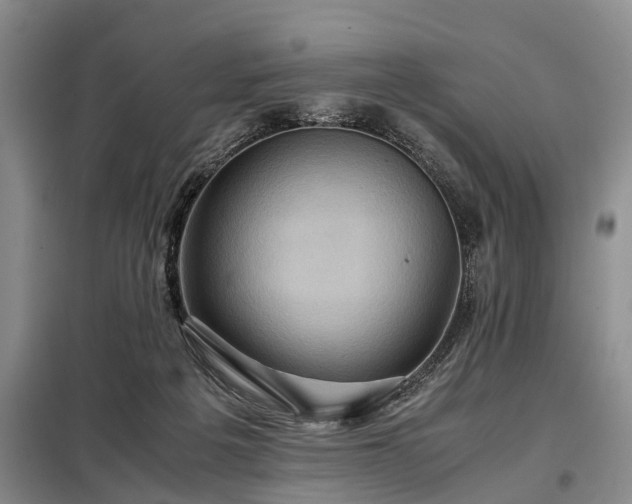 X0000099290217200805090938