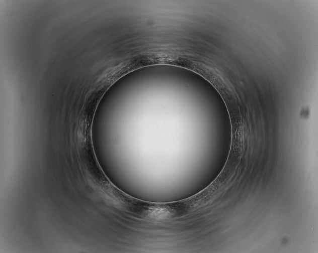 X0000099290218200805090938