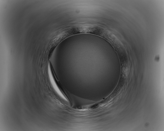 X0000099290219200805090938