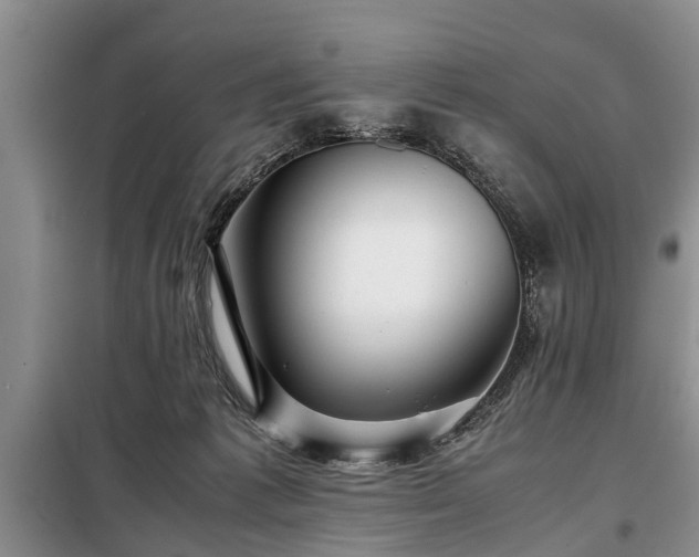 X0000099290221200805090938