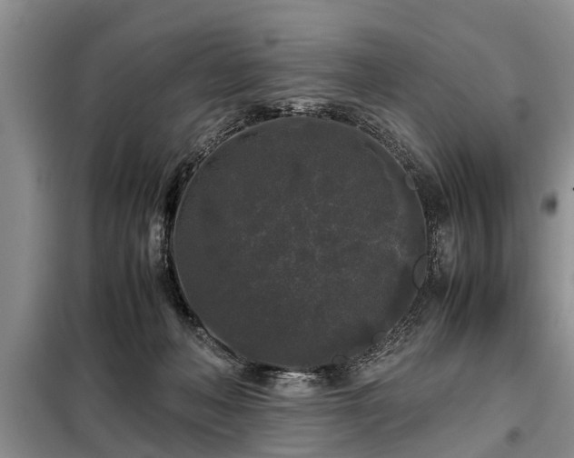 X0000099290222200805090938