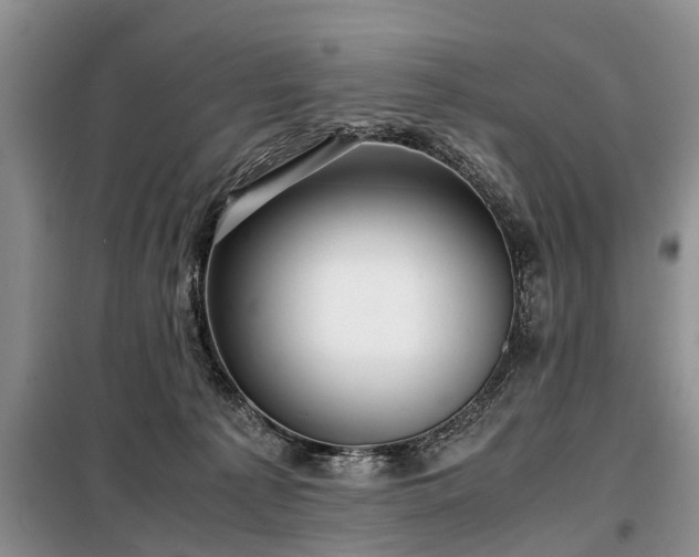 X0000099290225200805090938