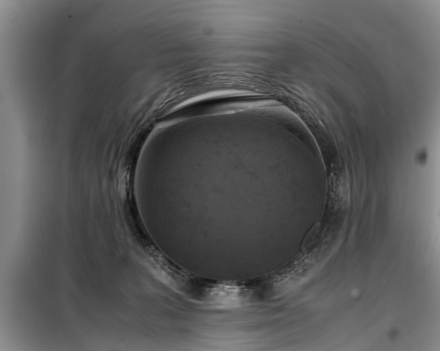 X0000099290227200805090938