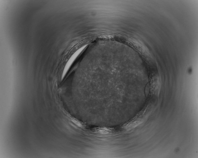 X0000099290229200805090938