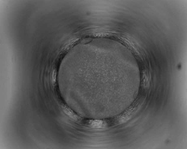 X0000099290230200805090938