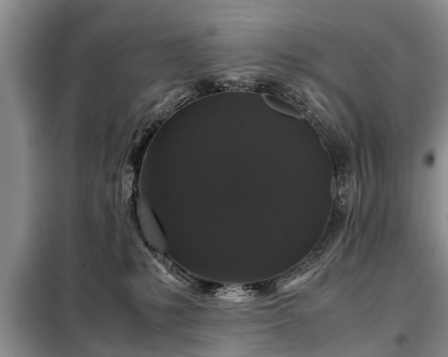 X0000099290231200805090938