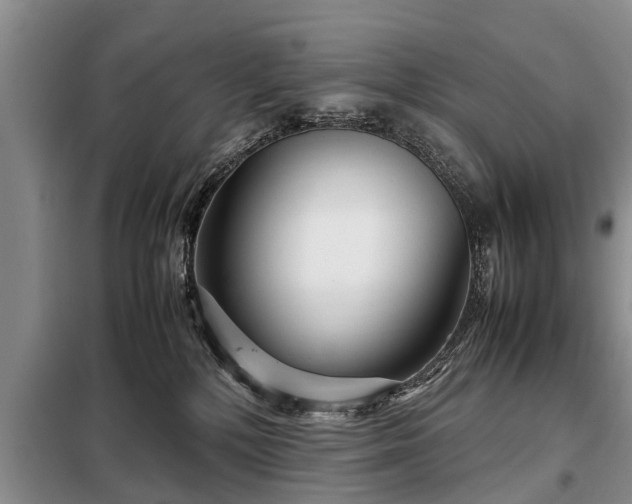 X0000099290232200805090938