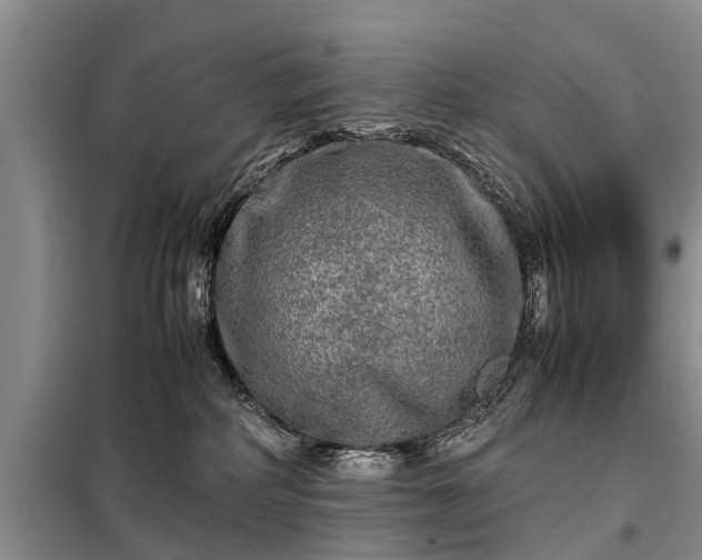 X0000099290234200805090938